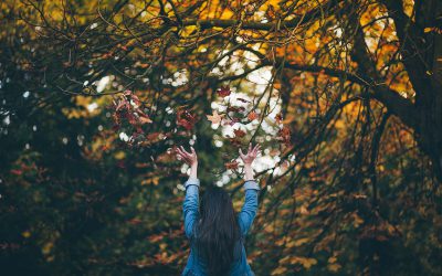 Changing Your Vibrational Energy Changes Your Life – Part 2
